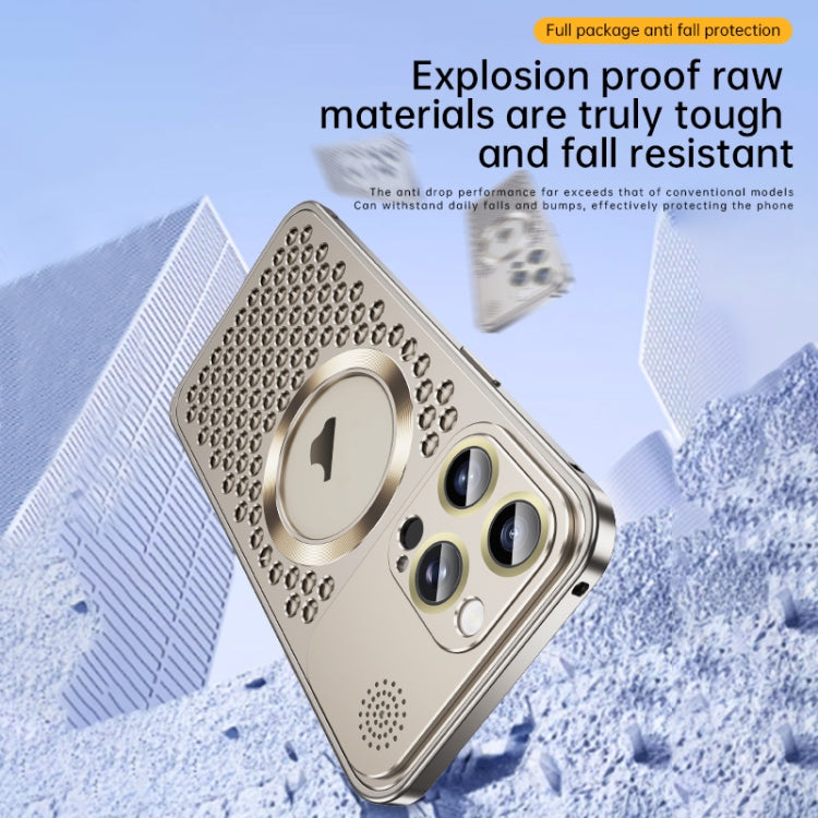 For iPhone 15 Pro Max Spring Buckle MagSafe Magnetic Metal Aromatherapy Phone Case(Black)