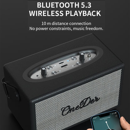 Oneder D7 Bluetooth Speaker Outdoor Karaoke Wireless Speakers With Two Mic(Black) - free shipping - PMC Jewellery - Order now!
