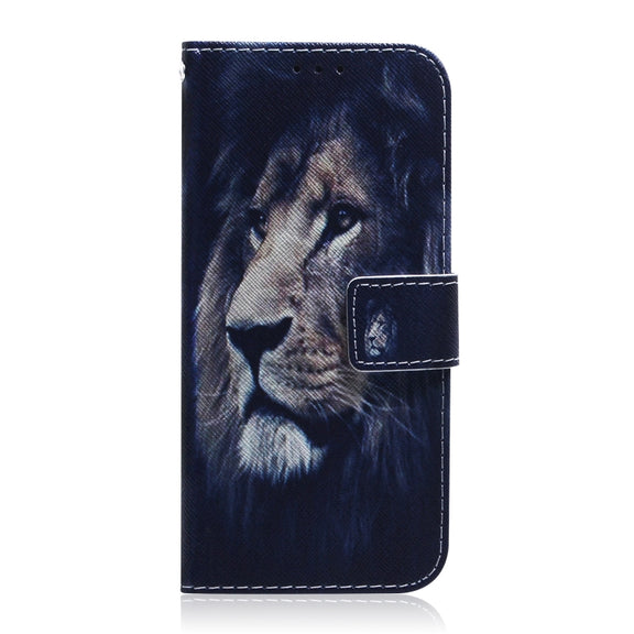 For Google Pixel 9 Coloured Drawing Flip Leather Phone Case(Lion)