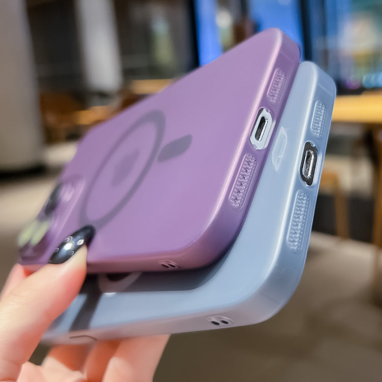 For iPhone 12 Ultra-thin MagSafe Frosted PC Phone Case(Transparent)