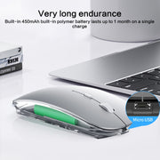 ZGA Chinchilla Dual Mode Wireless 2.4G + Bluetooth 5.0 Mouse(Black)
