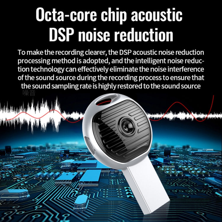 JNN S13 Zinc Alloy U-disk Voice Recorder, Memory:8GB(Silver)