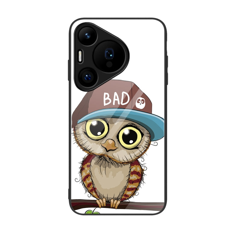 For Huawei Pura 70 Colorful Painted Glass Phone Case(Owl) - free shipping - PMC Jewellery - Order now!