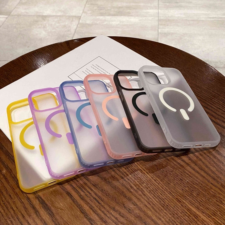 For iPhone 16 Pro Dual-Side Frosted MagSafe Clear Phone Case(White)