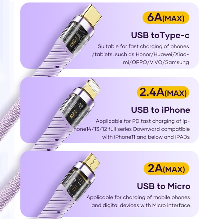 ROCK G20 1.5m 100W 3 in 1 USB-C / Type-C Fast Charging Data Cable(Purple)