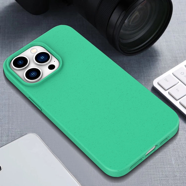 For iPhone 16 Pro Wheat Straw TPU Phone Case(Army Green)