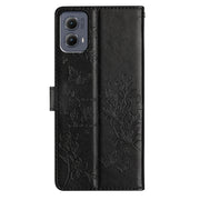 For Motorola Edge 2024 Butterflies and Flowers Leather Phone Case(Black)