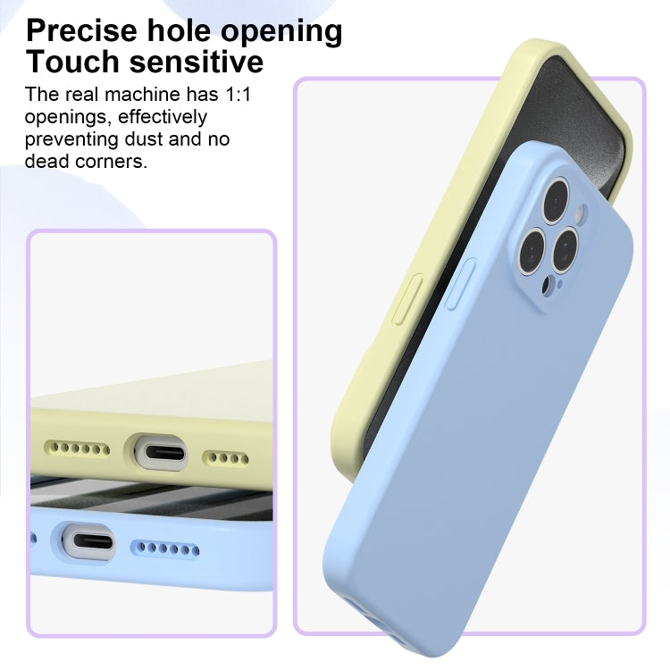 For iPhone 16 Pro Max Precise Hole Liquid Silicone Jelly Color Full Coverage Phone Case(White)