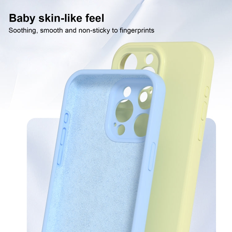 For iPhone 16 Pro Max Precise Hole Liquid Silicone Jelly Color Full Coverage Phone Case(White)