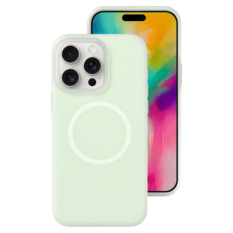 For iPhone 16 Pro Max Jelly Liquid Silicone MagSafe Magnetic Phone Case(Mint Mambo) - iPhone 16 Pro Max Cases by PMC TechLife | Online Shopping South Africa | PMC TechLife | Buy Now Pay Later Mobicred
