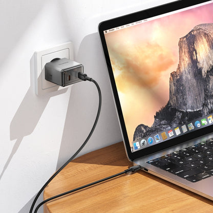 BOROFONE BN21 PD 40W 2 Type-C Charger with 1m Type-C to Type-C Cable Set, For:EU Plug(Tarnish) - USB Charger by Borofone | Online Shopping South Africa | PMC Jewellery | Buy Now Pay Later Mobicred
