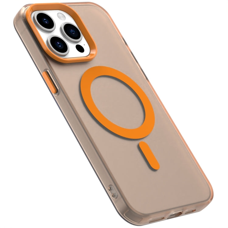 EDA007087711B_5.jpg@a65642a1240454f588d3ab6d3a5061d3