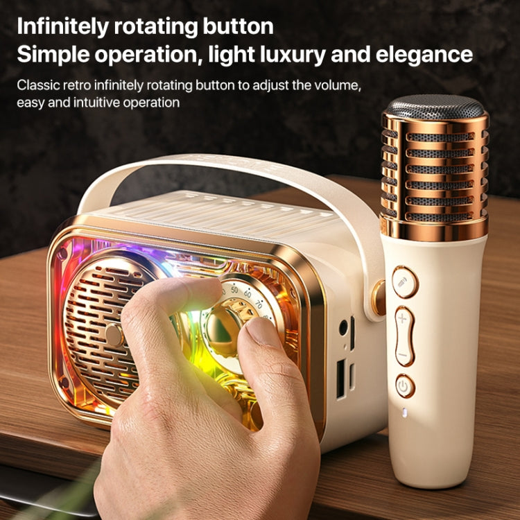 WEKOME WD-03 Meytang Karaoke Wireless Bluetooth Speaker(Black) - free shipping - PMC Jewellery - Order now!