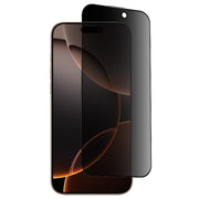 For iPhone 16 Pro ZGA 0.33mm 2.5D Anti-static Privacy Tempered Glass Film