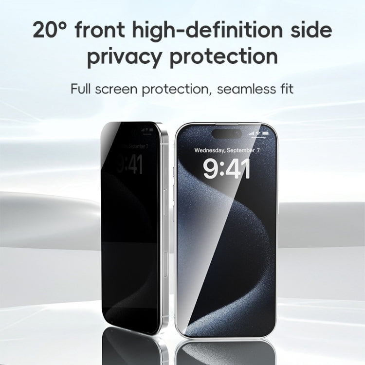 For iPhone 16 Plus ZGA 0.33mm 2.5D Anti-static Privacy Tempered Glass Film