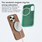 For iPhone 16 Pro ZGA Colorful Liquid Silicone Magsafe Phone Case(Gold)