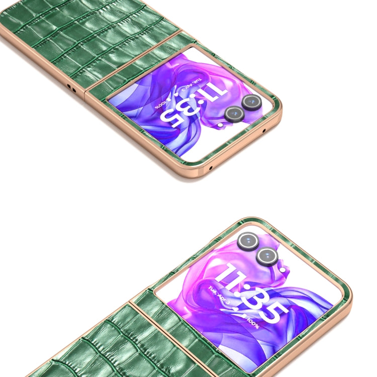 For Motorola Razr 50 ABEEL Electroplating Frame Crocodile Texture Genuine Leather Phone Case(Green)