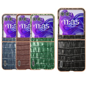 For Motorola Razr 50 ABEEL Electroplating Frame Crocodile Texture Genuine Leather Phone Case(Green)