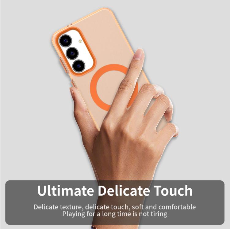 EDA007184813B_3.jpg@ea28b6f1db0dc9b2144ea5b72d916142