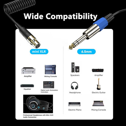 Mini 3 Pin XLR to 6.35mm Stereo Microphone Aux Audio Cable Coiled Adapter Cable, Length: 0.5m(Black) - Microphone Audio Cable & Connector by PMC Jewellery | Online Shopping South Africa | PMC Jewellery | Buy Now Pay Later Mobicred