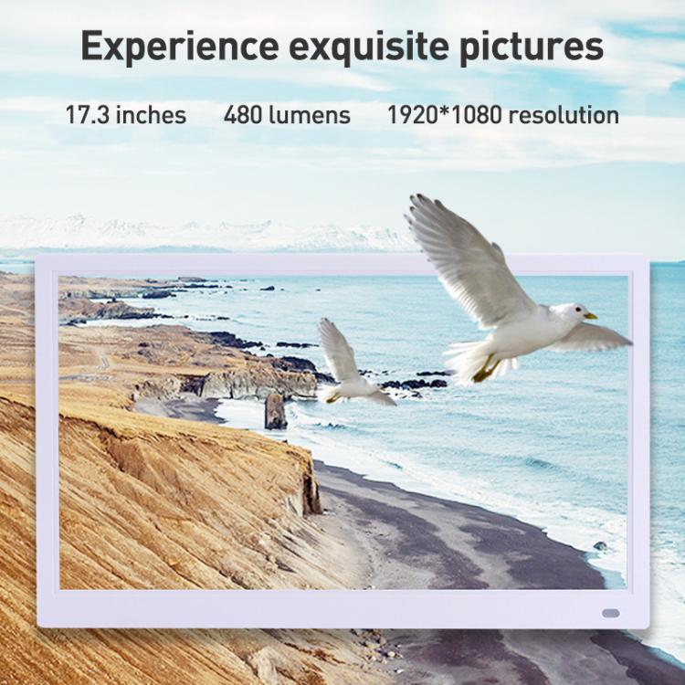 EDA0076945_B2.jpg@7c09129a40ba9796f993d7b36cf742fd