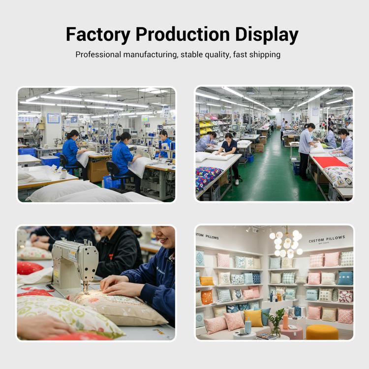 EDA0077122_B5.jpg@ab48b5b516bc382b56e6d7e0b718fb2d