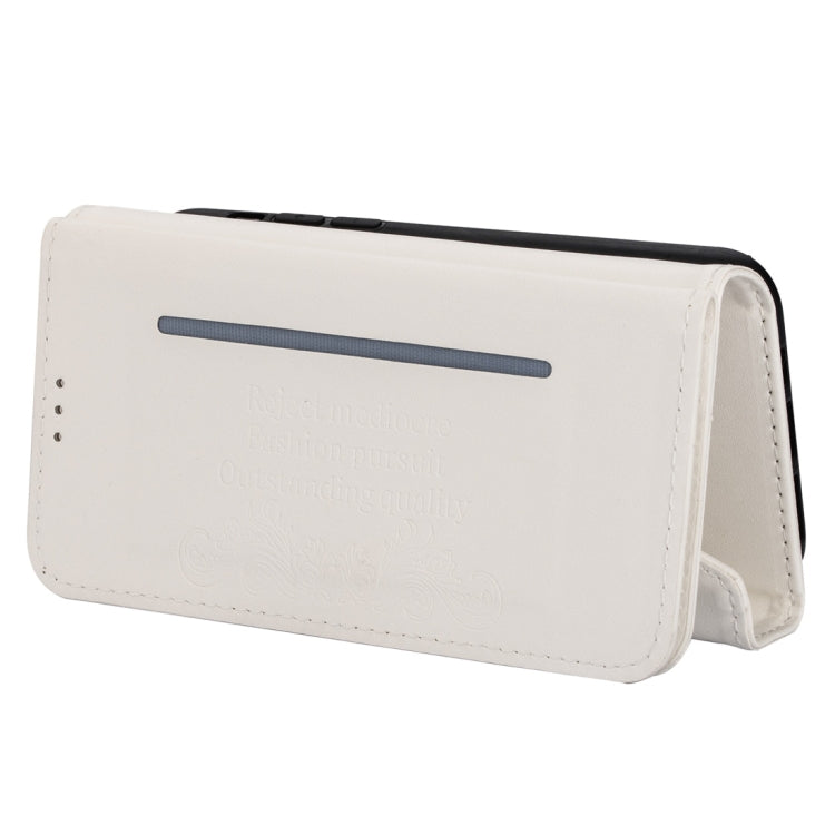 EDA00778010E_4.jpg@31c154c6925d3dc63ed544cde2d7531d