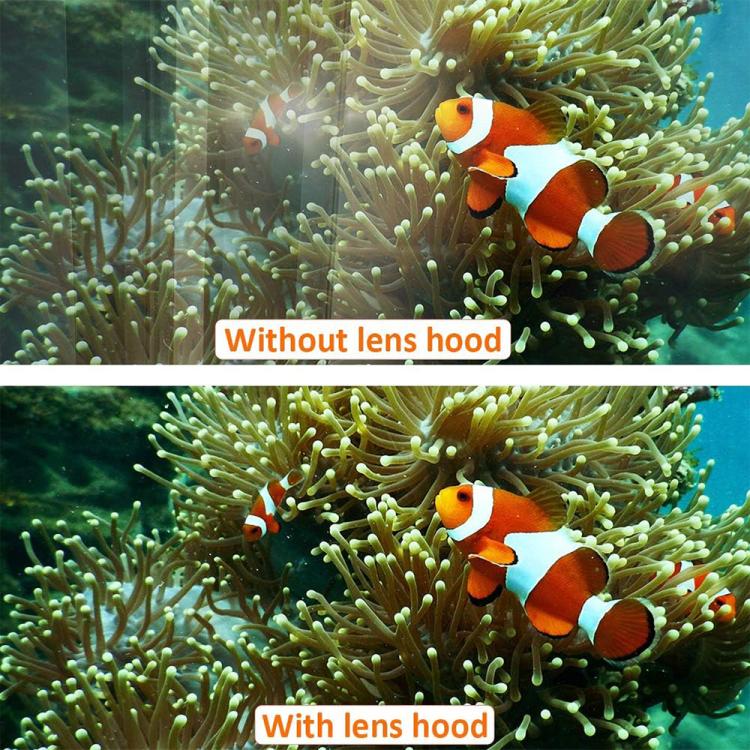 EDA007923203A_6.jpg@70396227439623d4f4072e995c63ed1a