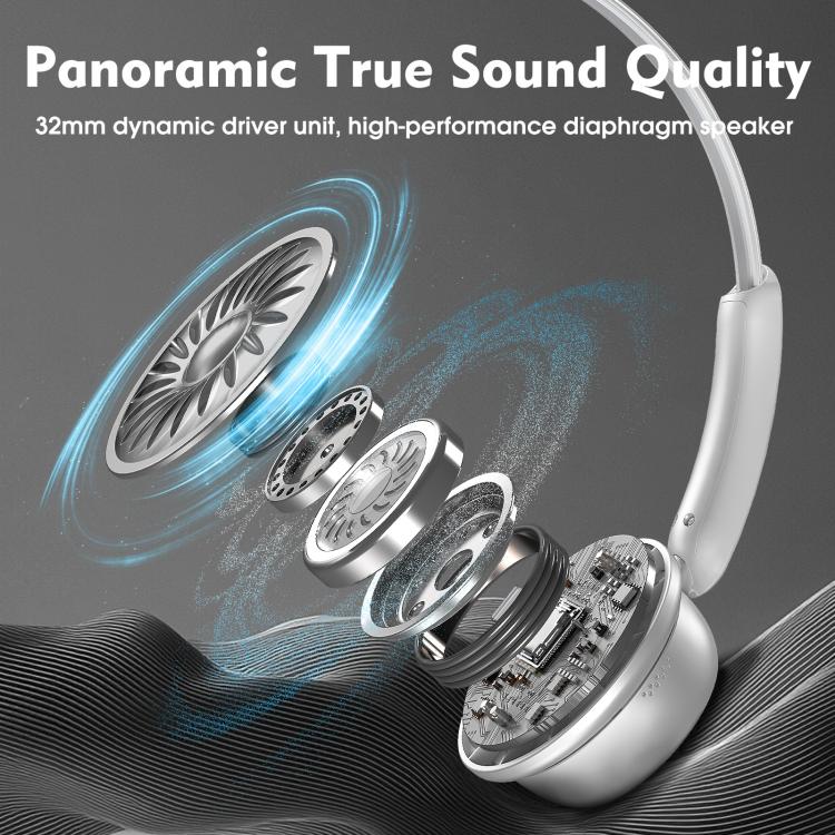 EDA0079644_B2.jpg@03dbf0c1bea5944f54ccc1b6c6a83fa7