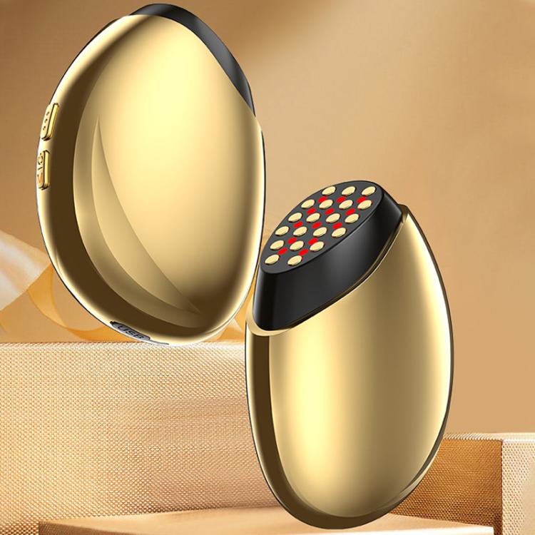 WG-SP-MS1135 EMS Collagen Cannon Essence Introducer Photon Skin Rejuvenation RF Beauty Device(Gold)