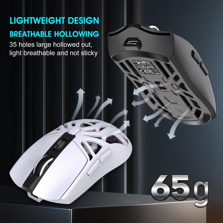 EDA008149301B_7.jpg@02e9a0a42b59df57d9cce8794c1ed97a