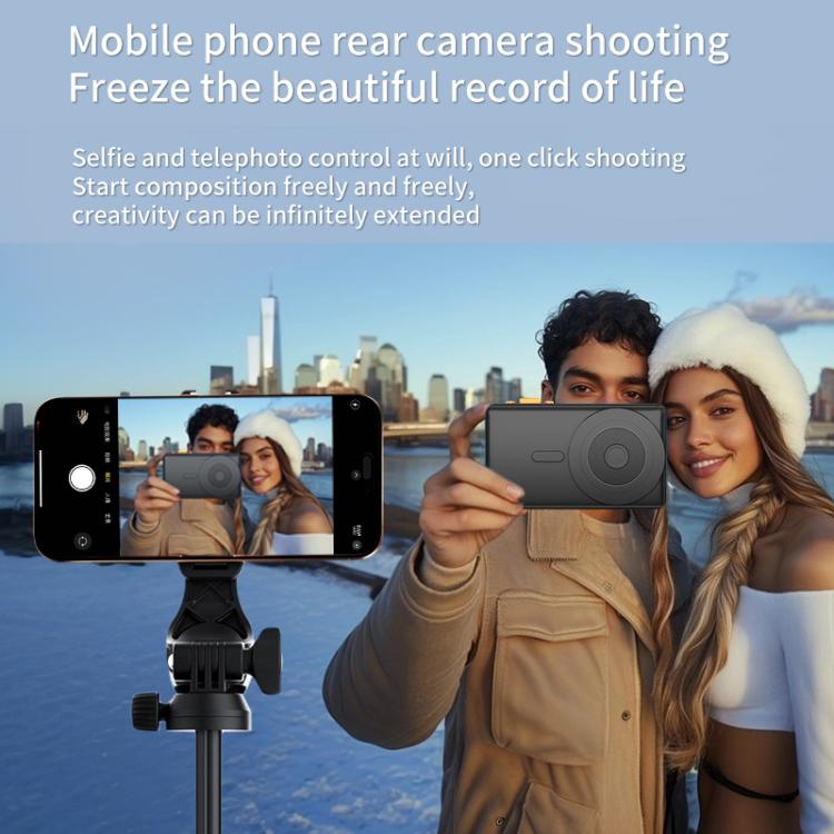 EDA0081574_B6.jpg@86d607914f9e1f5fe2eab3a6dcebb682