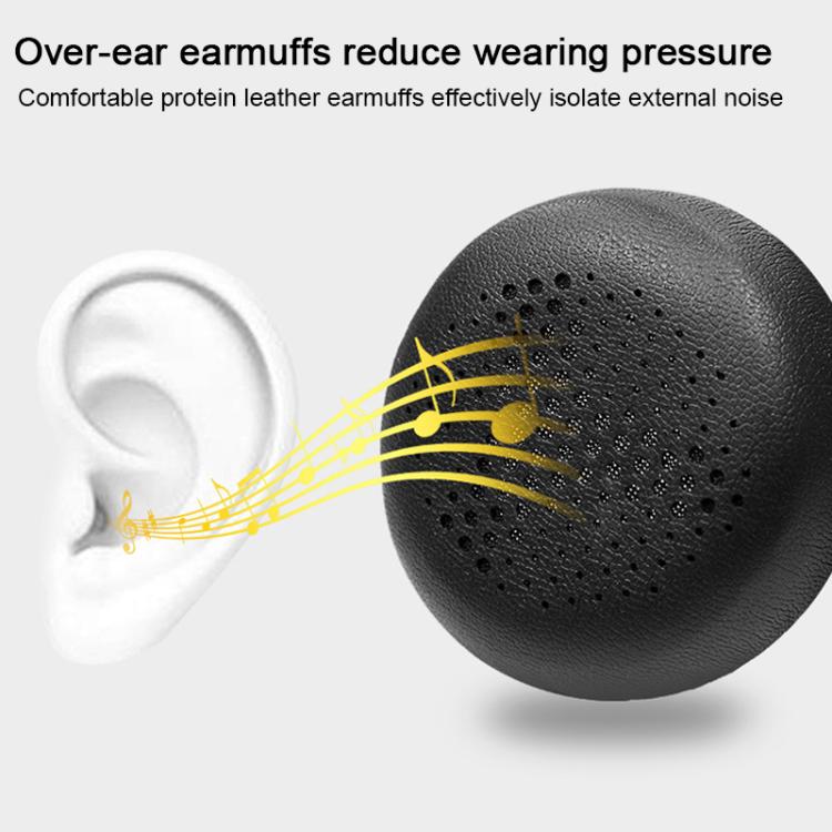 EDA0081599_B4.jpg@4f3a82ce35185922fb70670b44ba81da