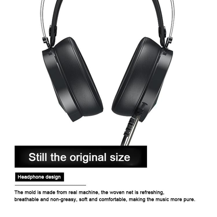 EDA0081691_B4.jpg@f481c31856a080d70b66510a03ff55a5