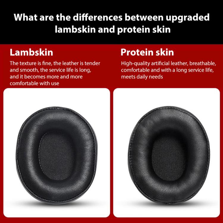 EDA0081727_B5.jpg@498777605897fc429fbe85db03b3c153