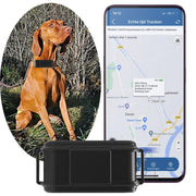 EDA008332301A_5.jpg@96e60b852227e1e03da6aaea149a88af