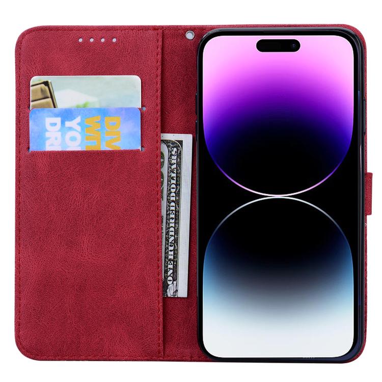 EDA008424302D_3.jpg@23e05f54d30aabba13cd98f9c54d964f