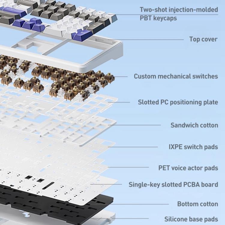 EDA0085754_B2.jpg@28649db09f37be2145964a4349b9c706