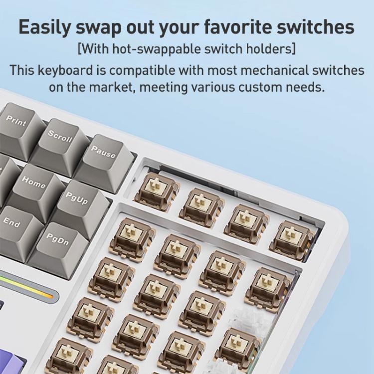 EDA0085754_B3.jpg@c5d41768e159ec969f137d88ba95b602