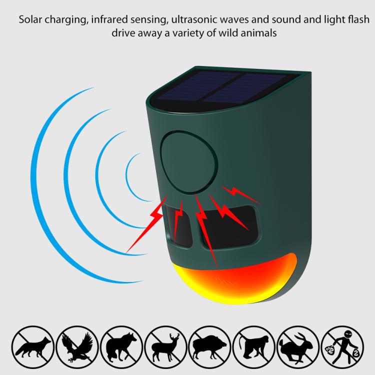 EDA008589601A_3.jpg@f2180a3d7a4b1de57ff26ebf356395b8