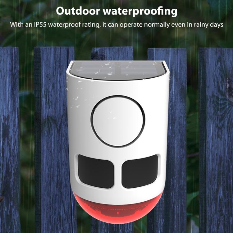 EDA008589601A_6.jpg@e94cf5ae5225af36ed32177cf7133709