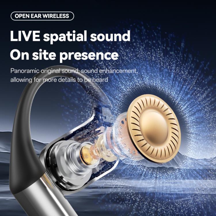 EDA008682001_B3.jpg@431c69b87a102d9966964ee57dcdd859