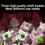 EDA0089660_B6.jpg@3145396d1705b3a8df91685b4a1e1877