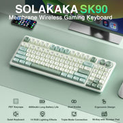 EDA008970701B_1.jpg@bdd4a48e3088b76b290db601de09b7d3