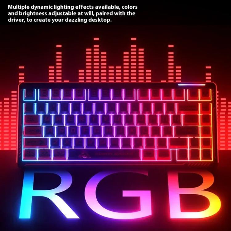 EDA0089722_B13.jpg@67891a853a3c2a43d3bb23c74040897c