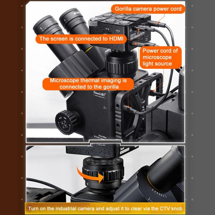 EDA0089874_B7.jpg@dfef400bb874eda9fbd7bbac9bb035d5