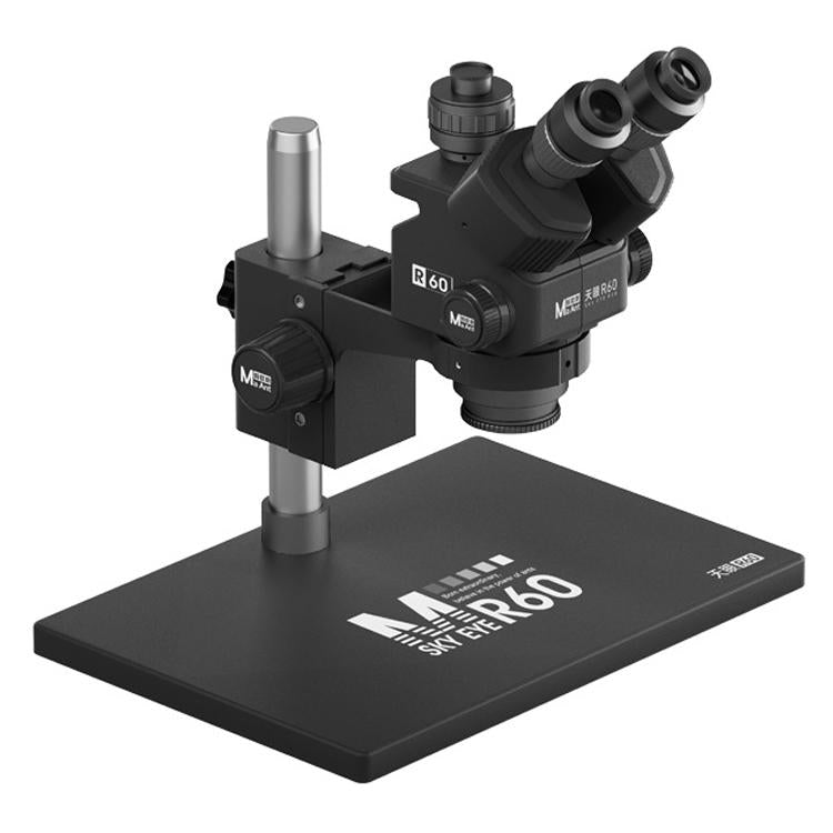 EDA008997601A.jpg@50ca28e711f078c4a39be1ef9db33124