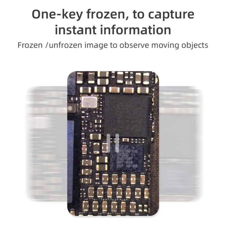 EDA0090033_10.jpg@2f69a09194b5e689e9fc65a69b197dcc