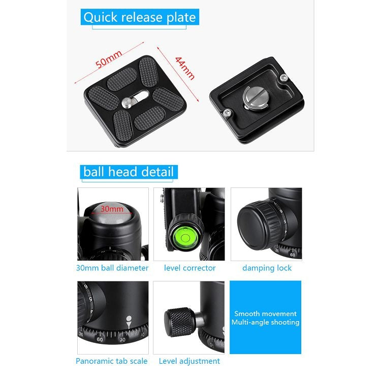 BEXIN BX255C K30 Portable Carbon Fiber Tripod for Camera Dslr - free shipping - PMC Jewellery - Order now!