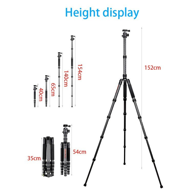 BEXIN BX255C K30 Portable Carbon Fiber Tripod for Camera Dslr - free shipping - PMC Jewellery - Order now!